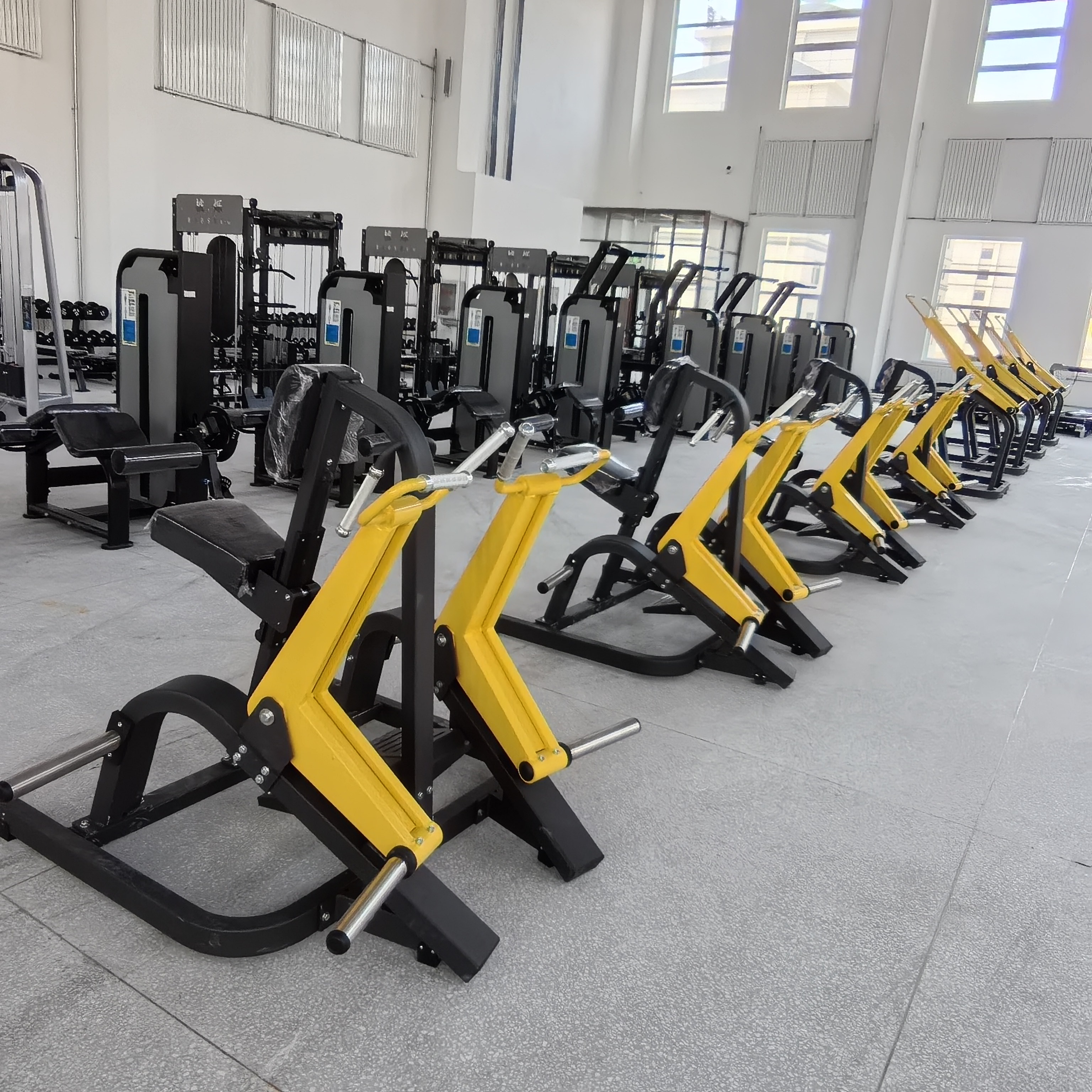 Transform Your Gym with Haoshuo Sport